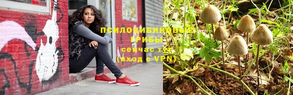 спиды Инсар