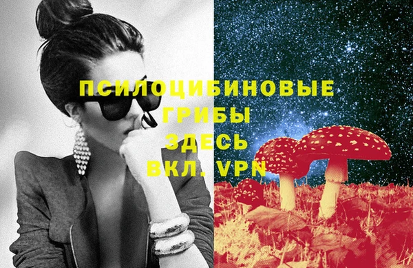 бутират Инта