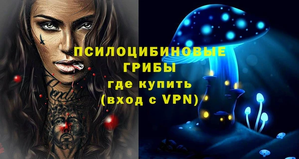 бутират Инта
