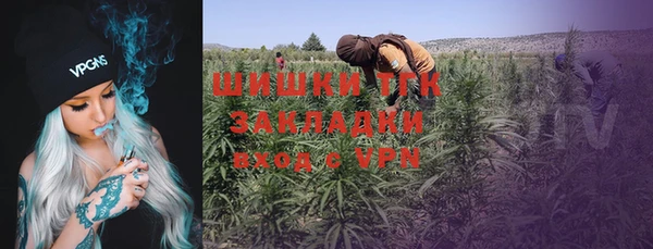 спиды Инсар
