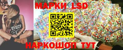 гидропоника Балашиха