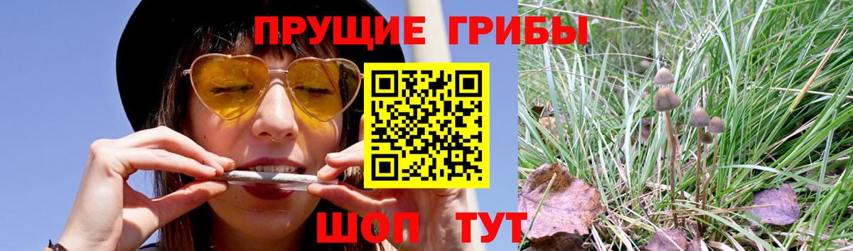 Ейск  Псилоцибиновые грибы Psilocybine cubensis  Псилоцибиновые грибы мухоморы  Вход с VPN 