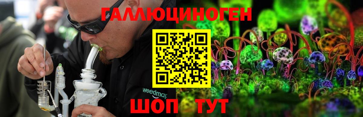 Псилоцибиновые грибы мухоморы  Псилоцибиновые грибы Cubensis  Ейск 