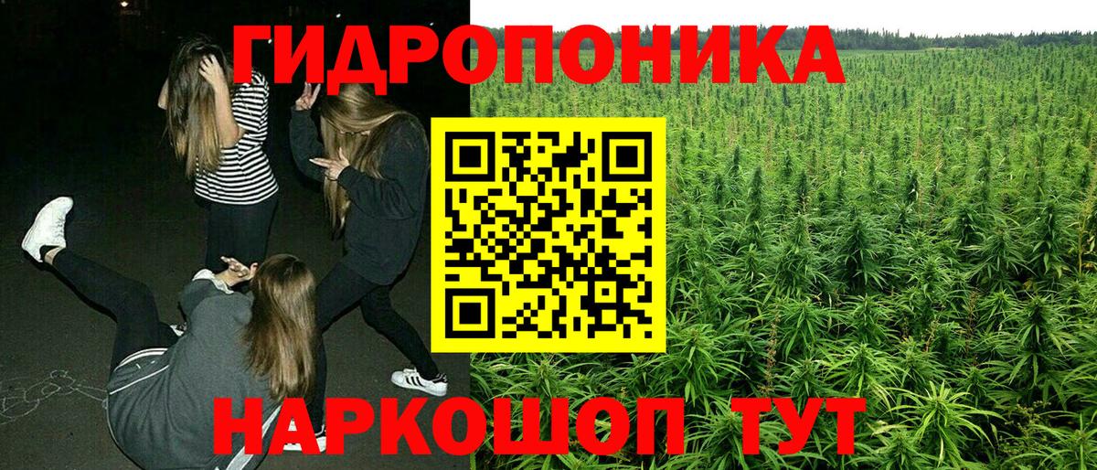 Бошки Шишки индика  Шишки марихуана MAZAR  Вход с VPN  Ейск 
